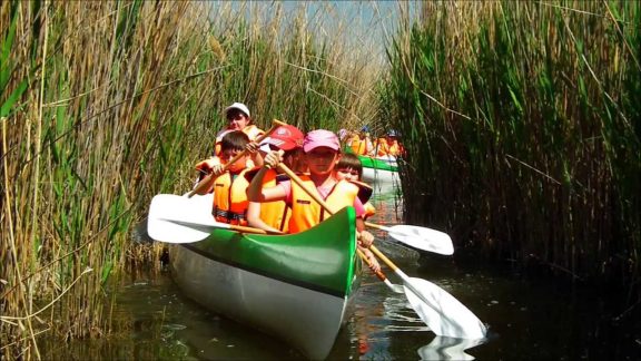 Expedíciók kenuval a Velencei-tavon